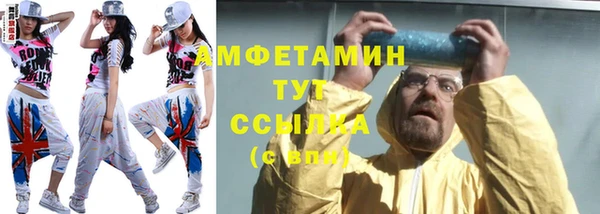прущие грибы Абинск