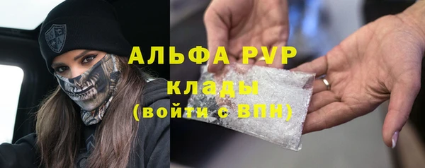 прущие грибы Абинск