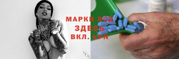 прущие грибы Абинск