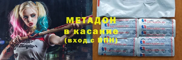 прущие грибы Абинск